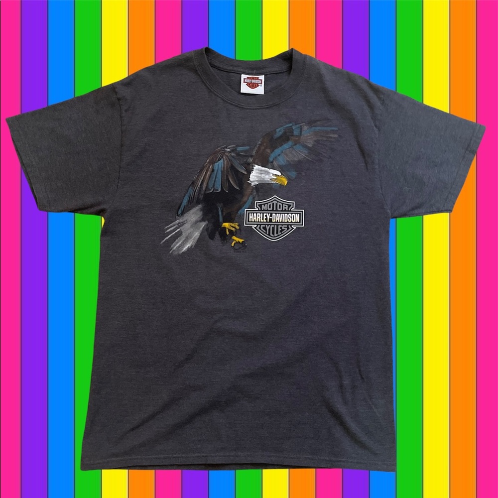 Harley Davidson arrowhead Arizona shirt